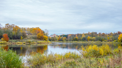 river and autumn forest
