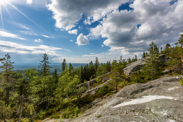 Beautiful landscape with forest and rock  in Koli National Park, Finland