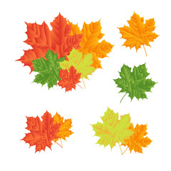 Fototapeta premium Set - maple leaves, multi-colored. Seasons. Natural decoration. Drawing.