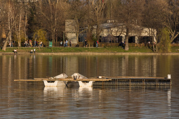 Two White Boats Parked in the Middle of the Lake