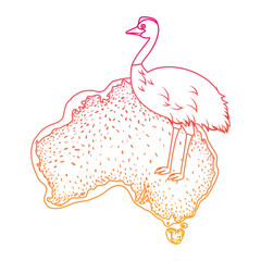 wild emu bird over australian map