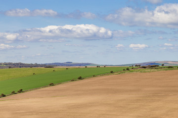 South Downs Landscape in Spring