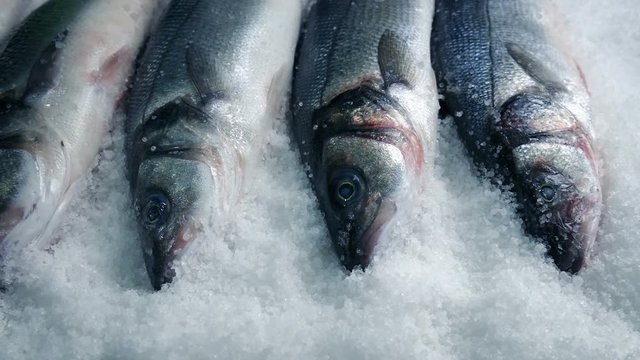 Fish Packed In Ice Tracking Shot