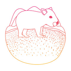 wild wombat australian creature in the camp