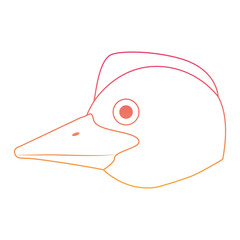 wild emu australian bird head