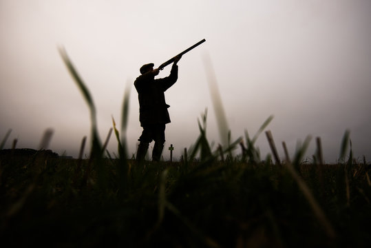 Silhouette of gun shooting on a pheasant shoot