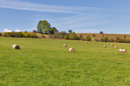 rural pasture landscape with haystacks