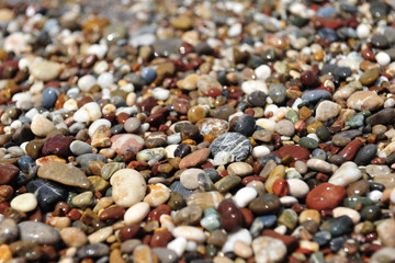 wet stones on the seashore