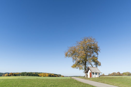Little chapel under a tree, Schwenningen, Baden-Wurttemberg, Germany
