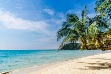 Fototapeta na wymiar View on tropical palm beach on Koh Kood island - Thailand