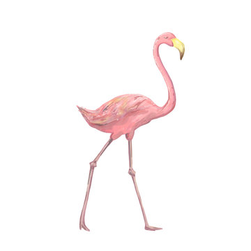 Pink flamingo character digital clip art cute two birds tropical summer set illusration on white background