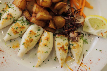 Delicious grilled squids with potatoes and lemon and littlle octopus, Spain