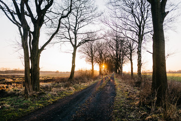 Sonnenuntergang auf dem Feldweg