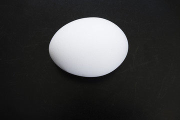 egg