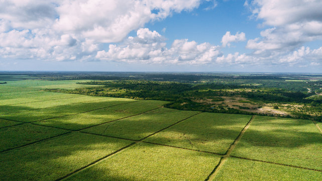 Green fiel amd blue sky. Swadow cloud