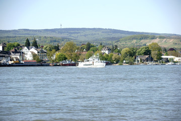 Passagierschiff Schierstein Main / Ein Passagierschiff überquert den Fluss Main bei Schierstein.