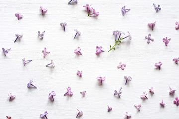 Lilac flowers on a white wooden background, top view. Flower gentle background