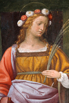 Sant'Orsola; affresco di Bernardino Luini. Chiesa di San Maurizio, Milano