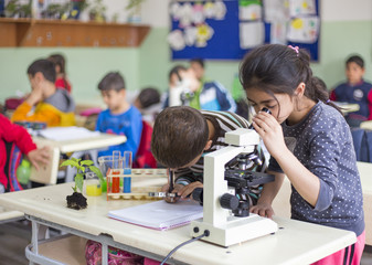 students are experimenting with microscopes