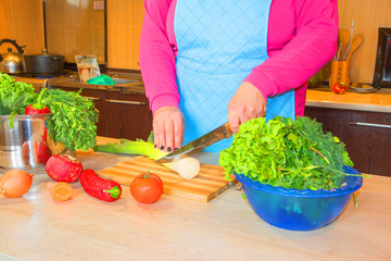 Woman hands cutting vegetables. Woman in kitchen preparing vegetables