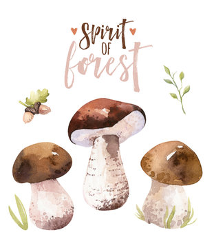 Watercolor bohemian forest mushrooms poster, woodland isolated amanita illustration, fly agaric, boletus, orange-cap boletus mushroom decoration.