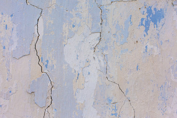 Asbestos slate texture concrete covered with lichen and moss	