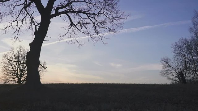 Grim Reaper sunset silhouette. concept of death