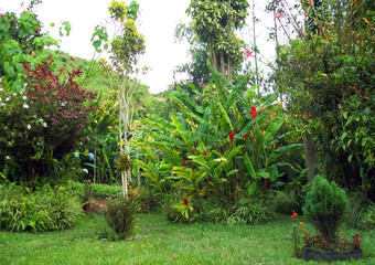 Naturaleza embellecida