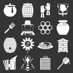 Apiary tools icons set grey vector