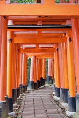 Fototapeta premium Kyoto - Japan
