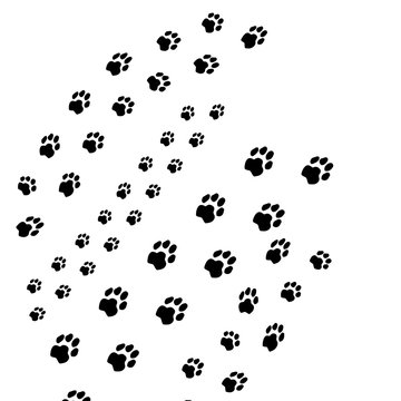Cute dog steps black seamless brush strokes isolated on white. Animal foot prints, pet silhouette paw imprint trails. Decorative idea for pet clinics, stores.