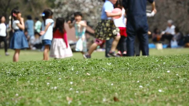 春の公園　イメージ　芝生で遊ぶ子供達　スーパースローモーション　240fps