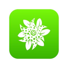Flower icon digital green