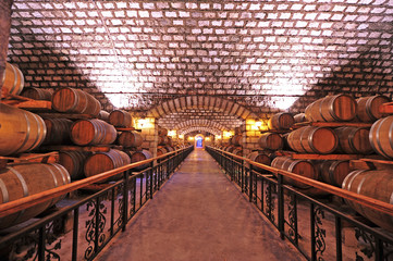 Wine cellar and wooden barrels