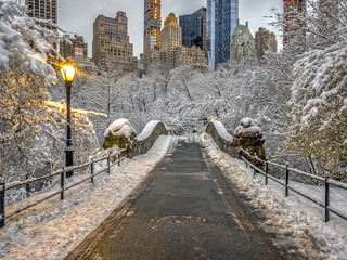 Gapstow bridge Central Park, New York City