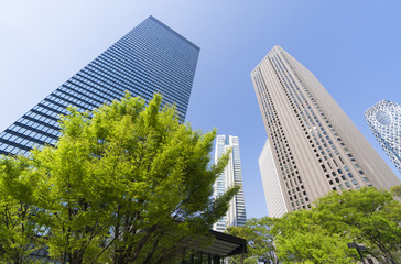 Fototapeta premium 東京風景・春・新緑・青空・新宿