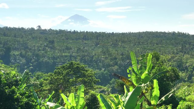 wide shot of the active volcano, mt agung, and terraced hills near bedugul on the island of bali, indonesia