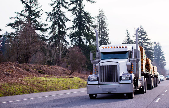 Big rig classic powerful semi truck carry lumber wood on two flat bed semi trailers on the straight road with trees background