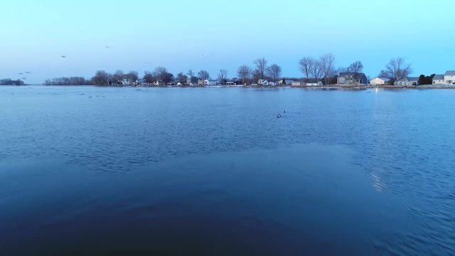 Hundreds of ducks swimming and flying over lake in April, beautiful slow motion dawn view.
