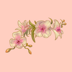 Illustration of flower isolated background
