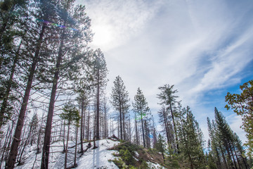 walking through the winter snow at Yosemite 
