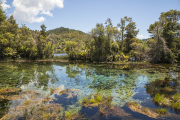 Te Waikoropupu Springs, Takaka karst, South Island, New Zealand, Pacific