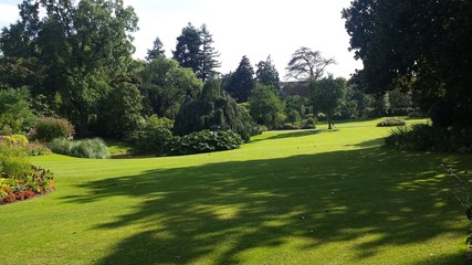 jardin et soleil