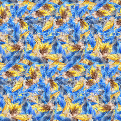 Watercolor blue jay yellow parrot bird feather seamless pattern texture background