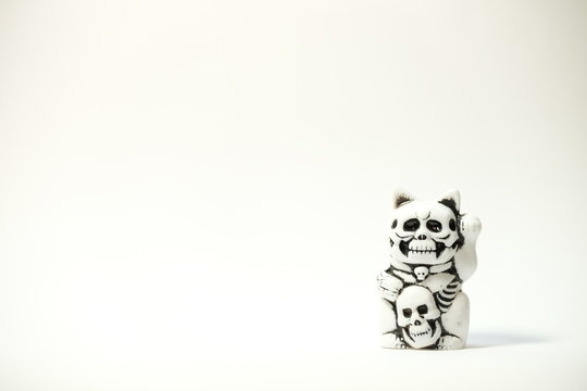 white skull bone head lucky fortune cat with white background