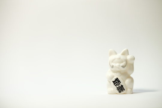 white cute lucky cat toy with chinese wording of thank you in white background
