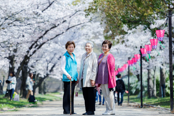 桜と高齢者 全身