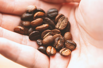 コーヒー豆