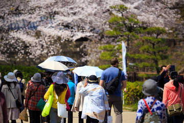 旅行者と大阪城