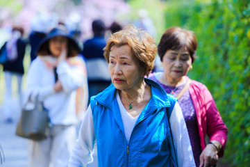 高齢者女性 旅行